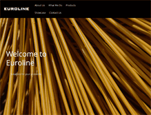 Tablet Screenshot of euroline.com.sg